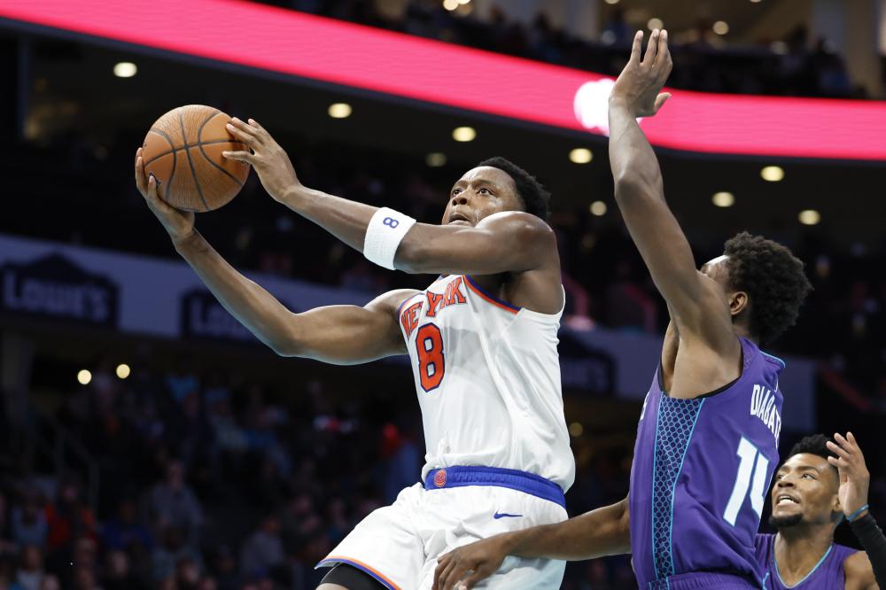 广泛的年轻 广泛的年轻